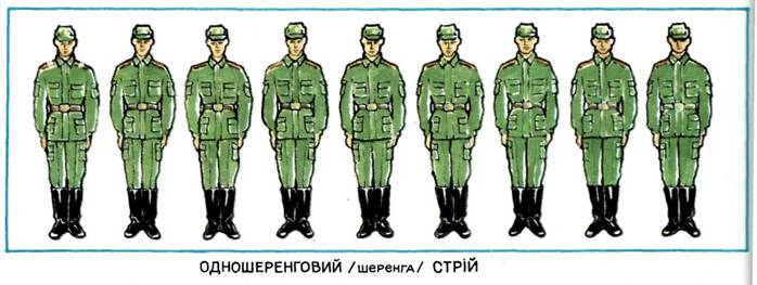 Строй рисунок. Строевая подготовка шеренга. Развернутый одношереножный Строй. Строй шеренга военнослужащие. Развернутый Строй это в армии.