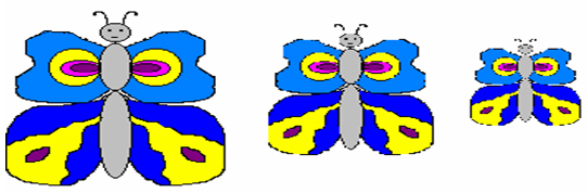 Praktichna Robota Diyi Z Fragmentom Malyunka 1 Zapustiti Grafichnij Redaktor Paint Obrati 2 Stvorenij Fajl Zberegti U Svoyu Papku D Tutorial 5 X Prizvishe Pid Nazvoyu Metelik Png 3 Namalyuvati Metelika 3 1 Namalyuvati